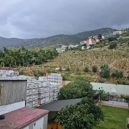 Apartamento Kleopatra Sultan Rezidans Alanya